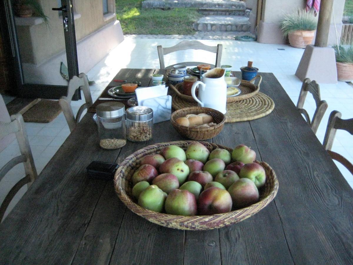 Finca Tierra Calma Casa 1 Barreal Eksteriør billede