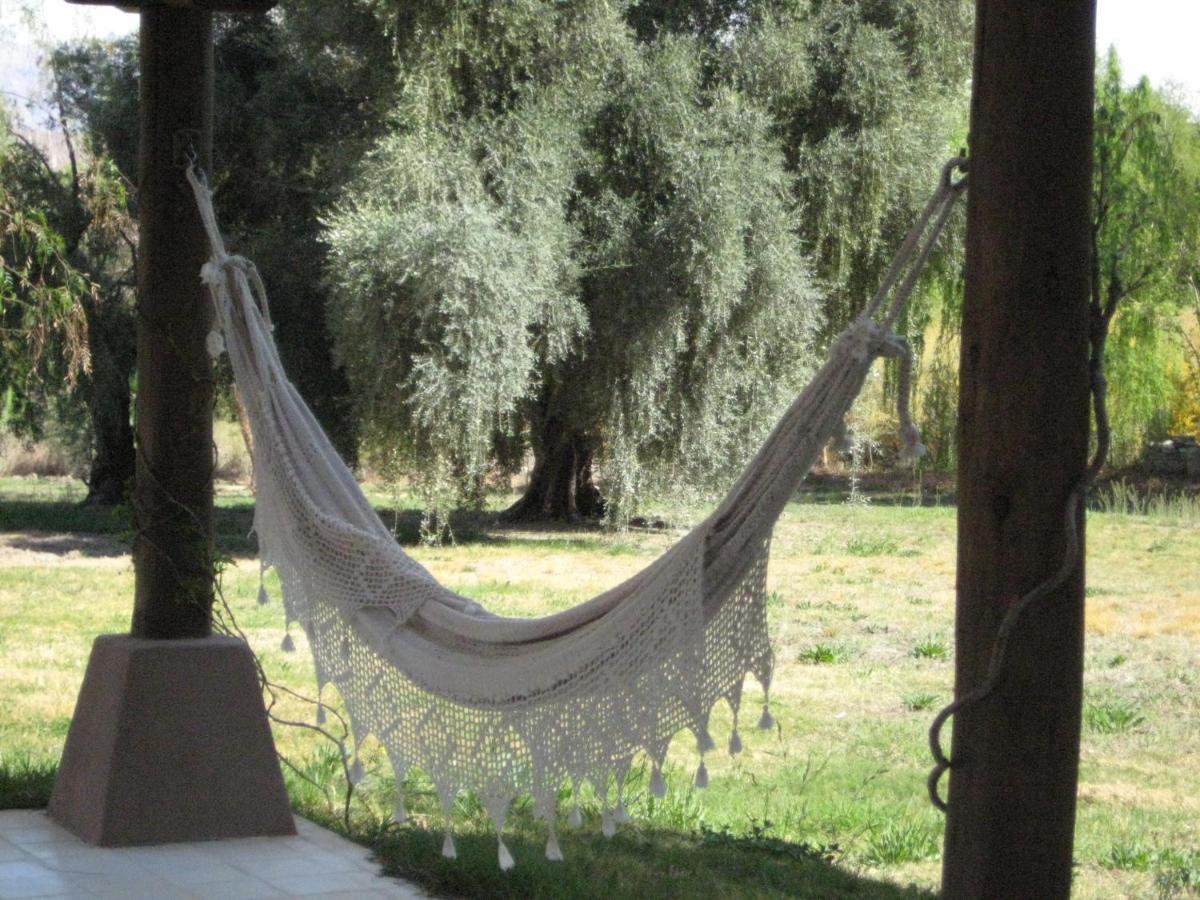 Finca Tierra Calma Casa 1 Barreal Eksteriør billede